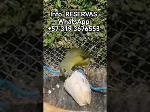 RESERVA #alojamientosrurales