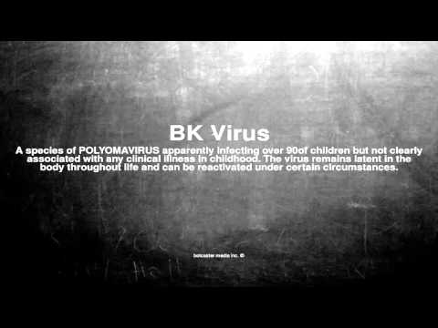 Medical vocabulary: What does BK Virus mean