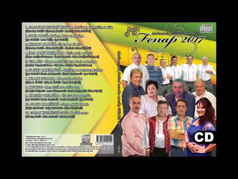 FENAP 2017 - Gojko Malesevic - Samo nek je veselo (Audio 2017)
