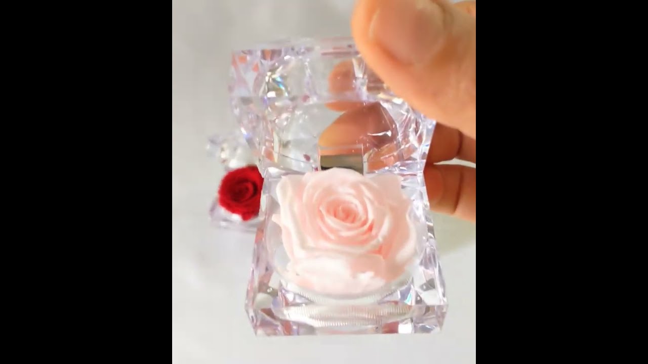 Rose éternelle stabilisée dans son écrin, Diamond