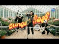 DARI SYAHDU JADI SERU Bunga Maaf Pop Punk Version Cara Baru Nikmatin The Lantis