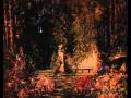 Schiller - Magic Garden