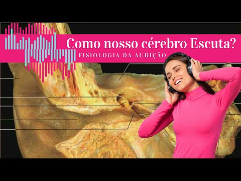 Como o nosso cérebro escuta? - Fisiologia da audição