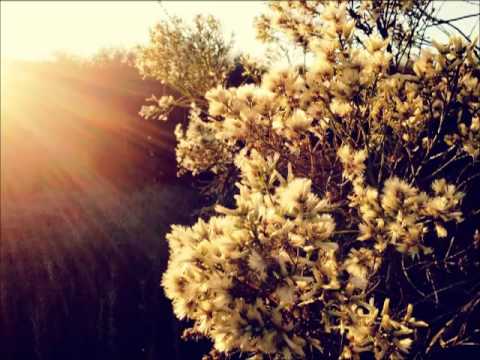 Stumbleine - Kaleidoscope