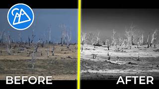 Lightroom & Chill — Silent Landscape Editing | Tasmanian Tree Line B&W