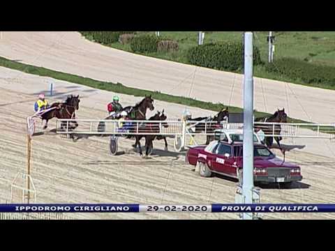 Aversa trotto 29 Febbraio 2020 - Prova di qualifica