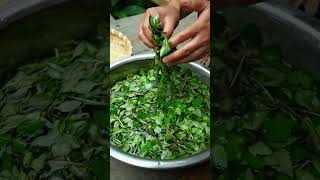 Rau mùi tây mọc ven suối | Parsley grows along the stream. #ẩmthựcnôngthôn #ihavethisthingwithplants 
