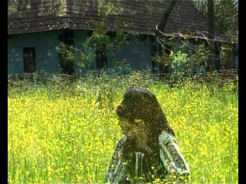 Oana Bogdana POP - pasaruica cuc frumos