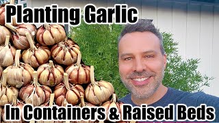How to Plant and Grow Garlic in Containers and Raised Beds
