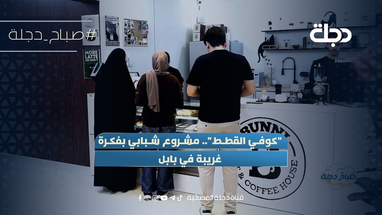 فيديو | "كوفي القطط".. مشروع شبابي بفكرة غريبة في بابل