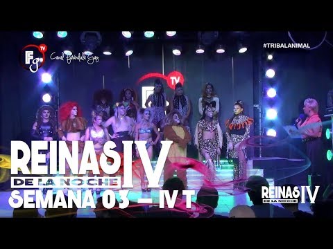 REINAS DE LA NOCHE T4 / CAP 03 - CANAL FARANDULA GAY