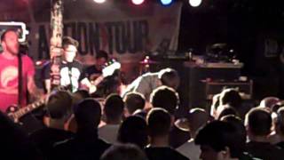 Polar Bear Club, "Hollow Place/Boxes" (Live in Seattle, May 16, 2011)