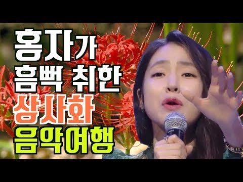 미스트롯 홍자 상사화 꽃무릇에 흠뻑 취한 날