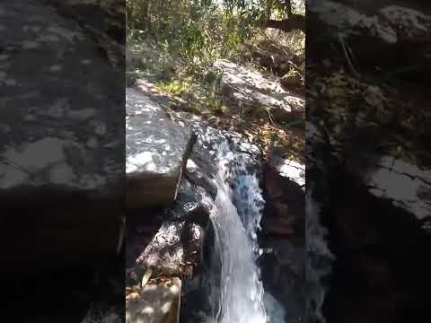 CARRANCAS/MG