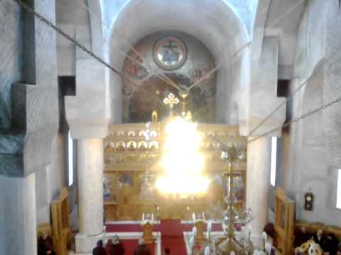 Bratele parintesti (fragment) gl.5 - Psalt Daniel Cordus