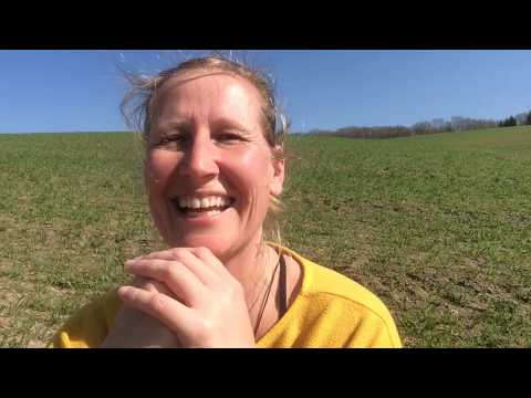 Wechselatmung Chakrakonzentration