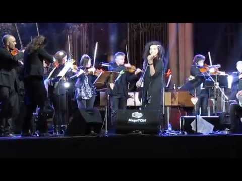 Nemanja Radulović "Niška Banja"