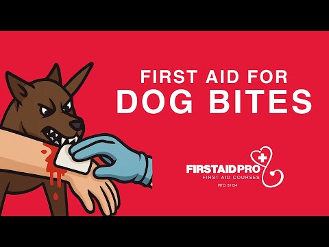 First Aid for Dog Bites