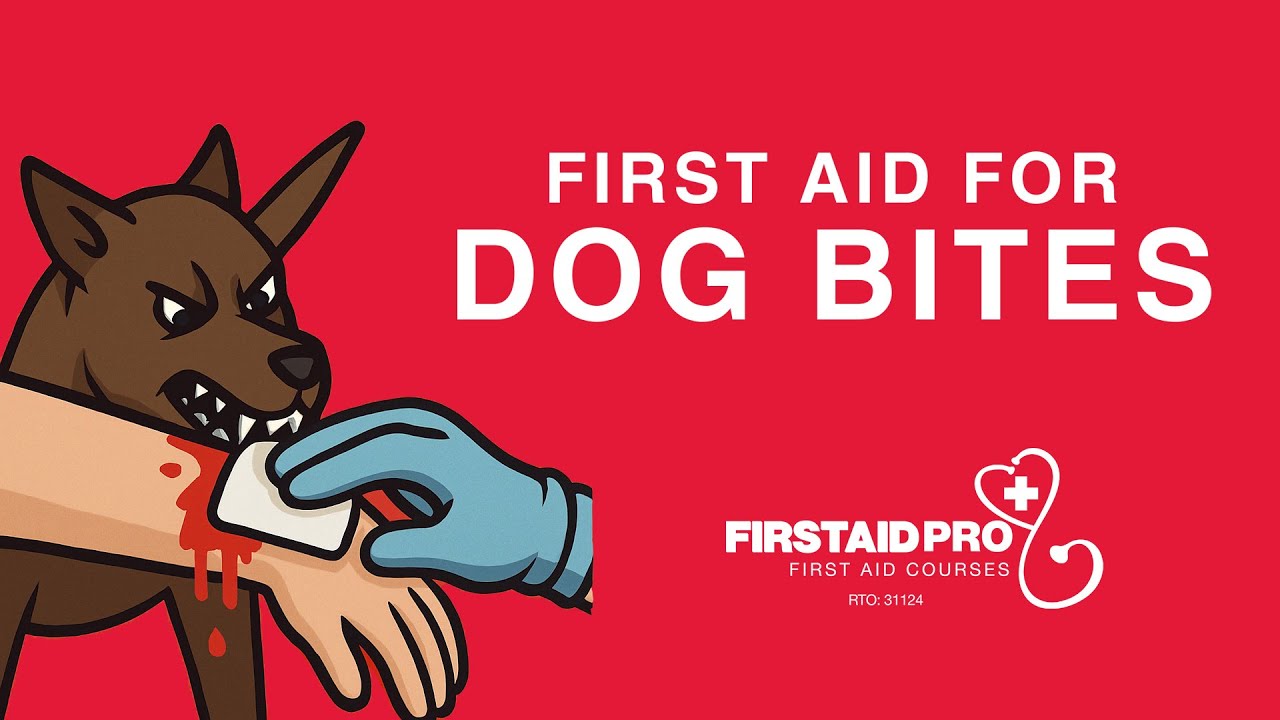 First Aid for Dog Bites