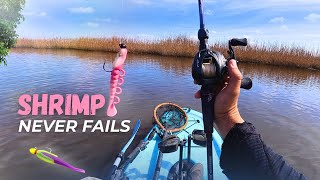 Fish This Bait In The Spring — You Won’t Regret It
