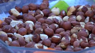 TERMÉSZETVÉDELEM HATÁROK NÉLKÜL