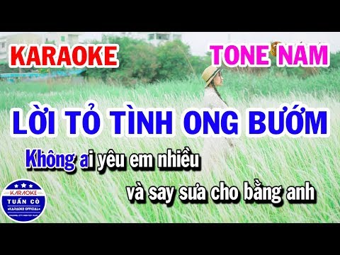Karaoke Lời Tỏ Tình Ong Bướm Tone Nam Gm | Karaoke Tuấn Cò