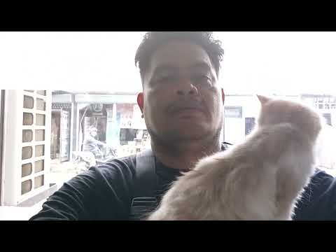 Mengmeng is in the House