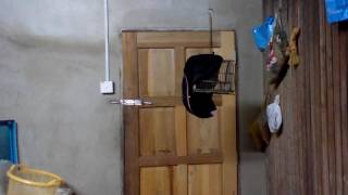 Download lagu murai buluh kelate mp3 Download lagu murai buluh kelate mp3