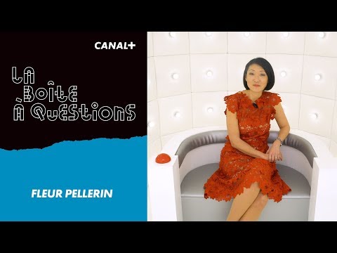 La Boîte à Questions de Fleur Pellerin – 06/04/2018