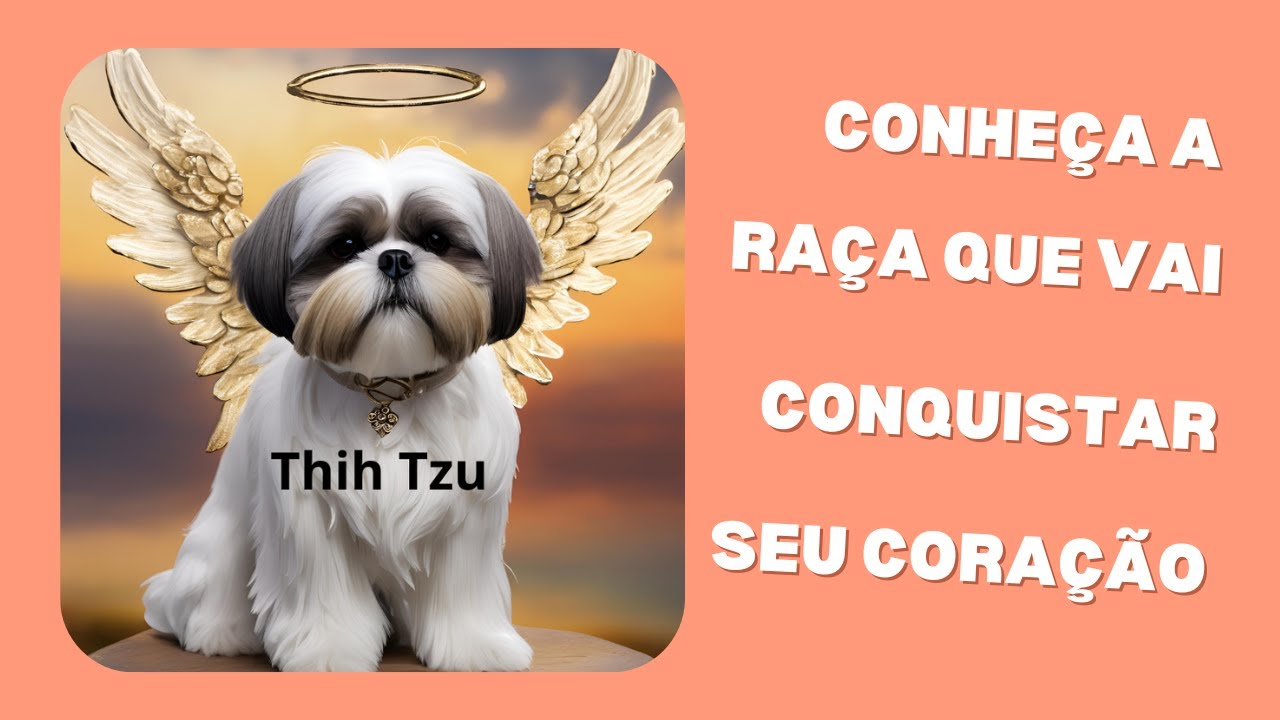 CONHEÇA A RAÇA QUE VAI CONQUISTAR SEU CORAÇÃO