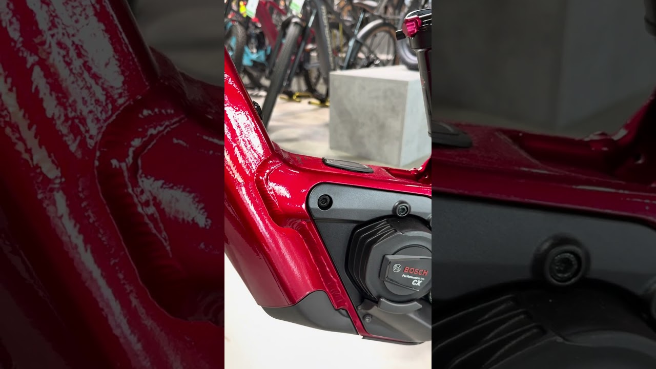 VTT électrique - Taille L  (180-195cm) - Camping & Spa Miremer