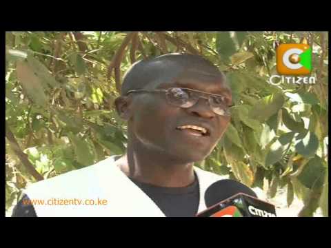 Machuka,The Man Who Punched Gebresellasie