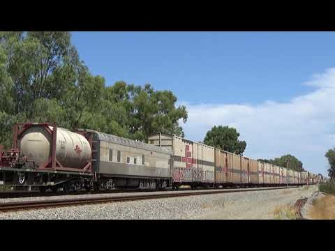 SCT013 and SCT002 on 1PM9 freight Hazelmere