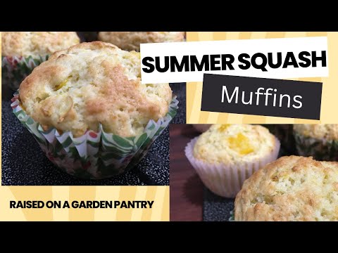 Easy Summer Squash Muffins