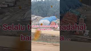 Download lagu Kisah Anak Rantau #anakrantau #anaktambang #motivasi #viral mp3