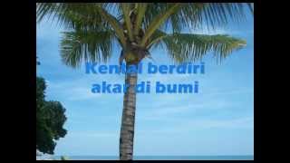 Amuk - akar dan bumi