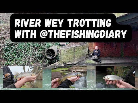 Master Stick Float Trotting To Catch Chub, Dace, And Trout!
