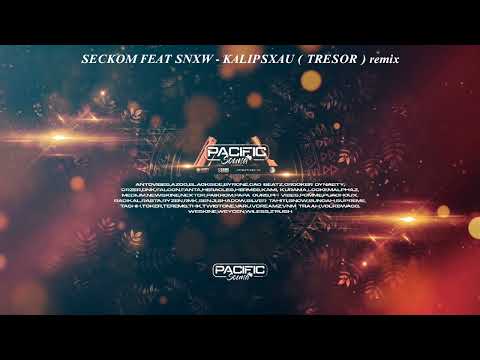 Seckom feat Snxw - KALIPSXAU ( trésor ) remix