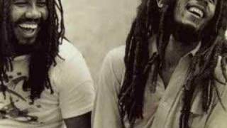 Babylon System- Bob Marley