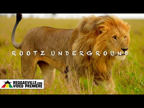 Rootz Underground - Vectors [Official Video 2023]