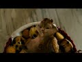 Alvin And The Chipmunks 2007 Basket At 3 O Clock