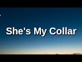 Gorillaz She S My Collar Lyrics Ft Kali Uchis She S The Serpentine She S My Collar Tiktok