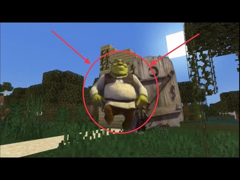 i actually saw shrek in minecraft