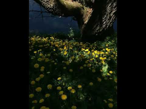 [FREE] Travis Scott x Recayd Mob  Type Beat