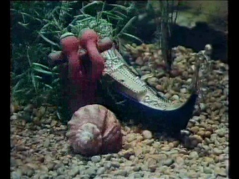 Dve figurici - Ladjica (slovenski živ žav)