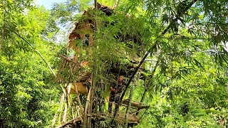 A relaxing day, visiting the forest garden and stopping by an old abandoned farm./mountain life