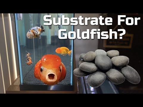 The Best Substrate? - Sand, Gravel, Stones, Bare Bottom?
