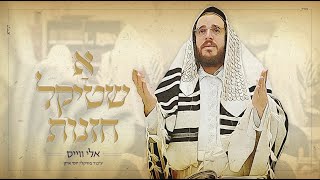 אלי ווייס - ועל ידי עבדיך | Eli Weiss - Veal Ydey Avadecha