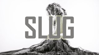 Meadowlark - Headlights