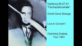ANDY SUMMERS - World Gone Strange (Hamburg 08-07-91 "Fischauktionshalle" Germany) (audio)
